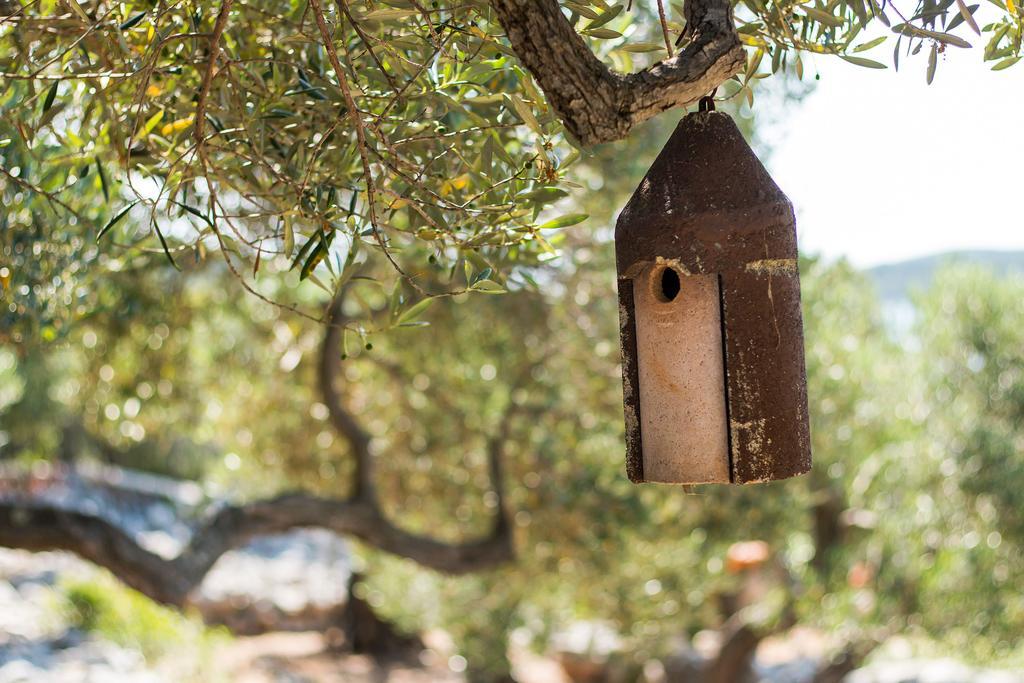 Holiday Home Nikol Veli Lošinj Exteriér fotografie